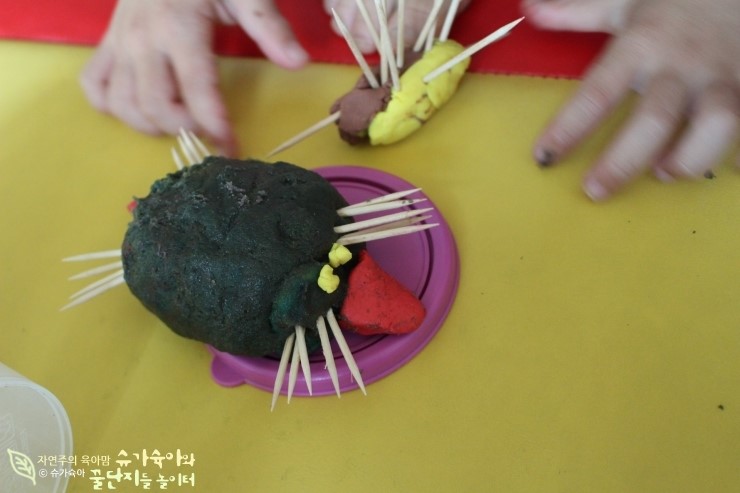 (주)자연의 신비 이미지