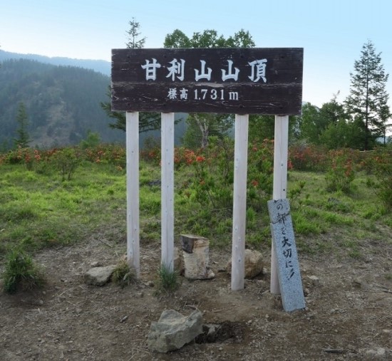 달콤하리 이미지