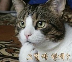 코우 이미지