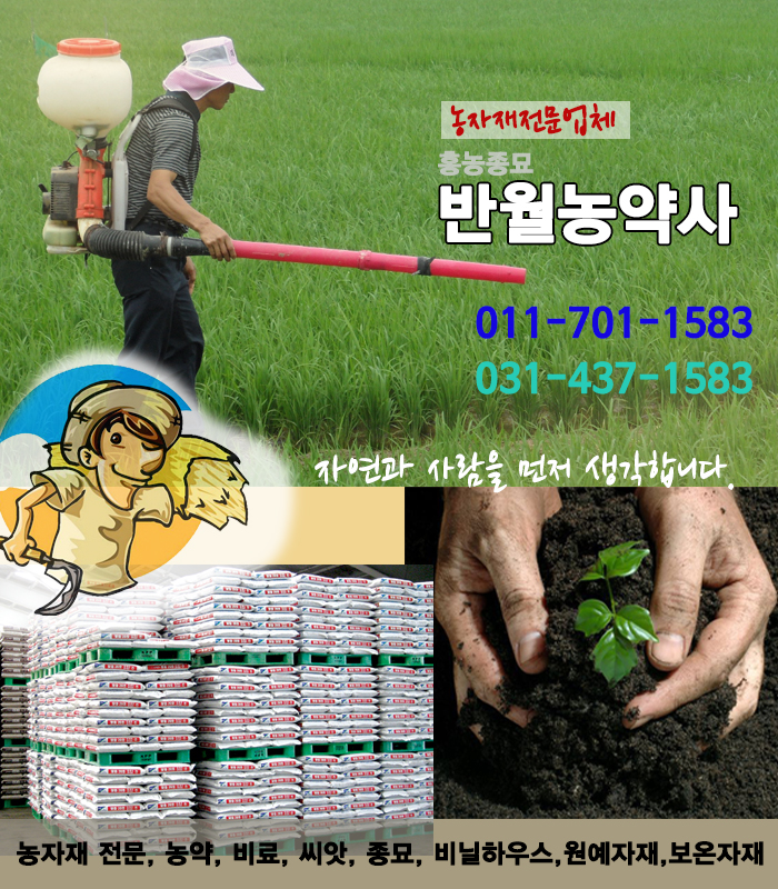 흥농농약종묘 이미지
