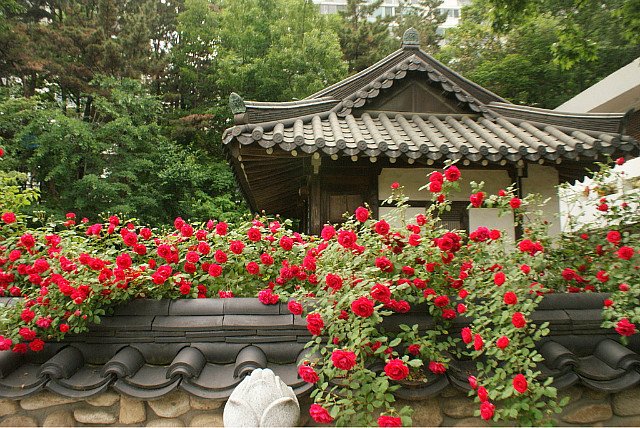 SH그룹 이미지