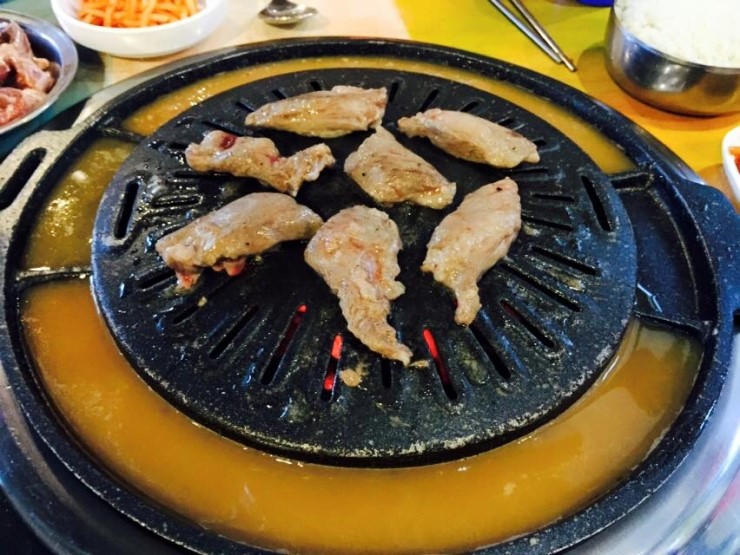 선운갈매기 이미지