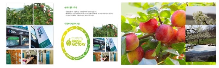 후레쉬 팩토리 이미지