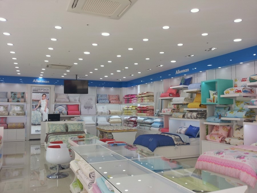 알레르망대전 이미지