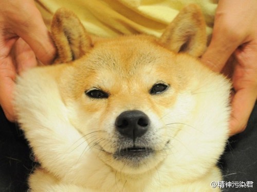알아 이미지