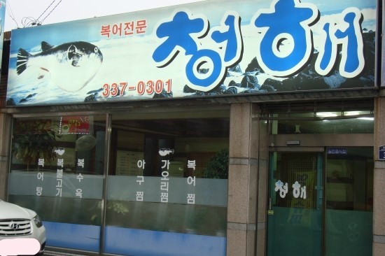 청해복어 이미지