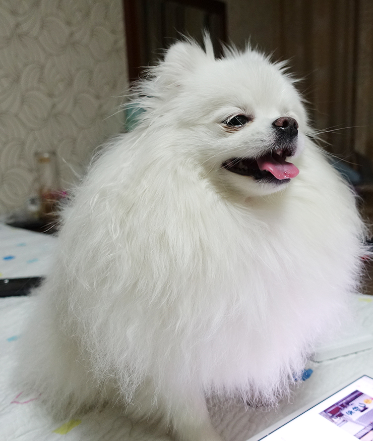 개편한까페 이미지