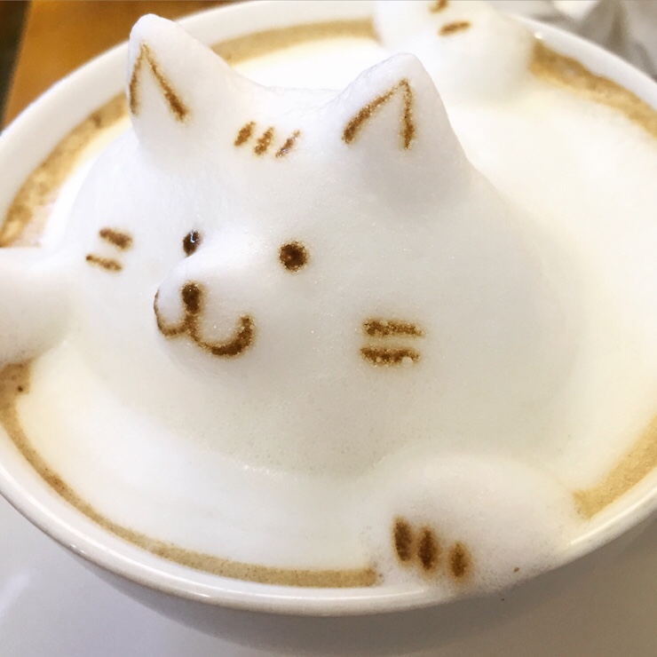 라두스 이미지