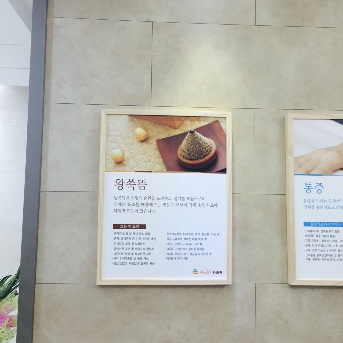 둥지한의원 이미지