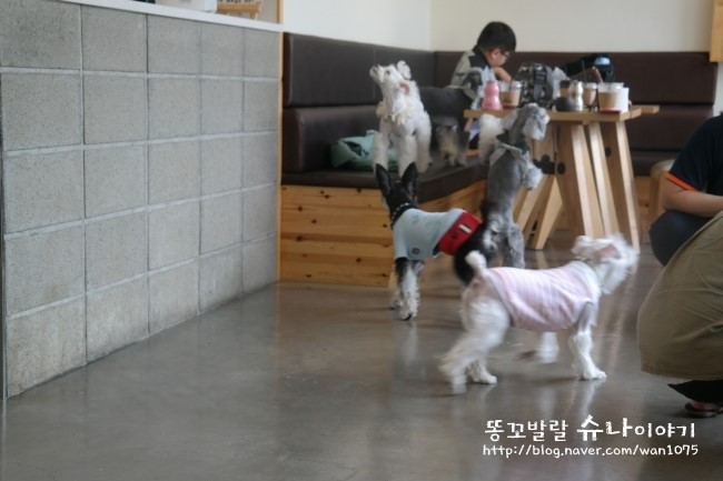아로담 이미지
