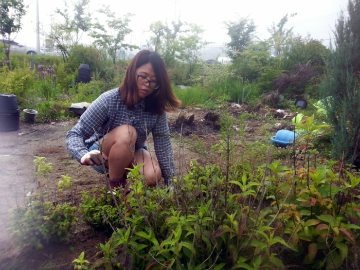 소윤조경 이미지