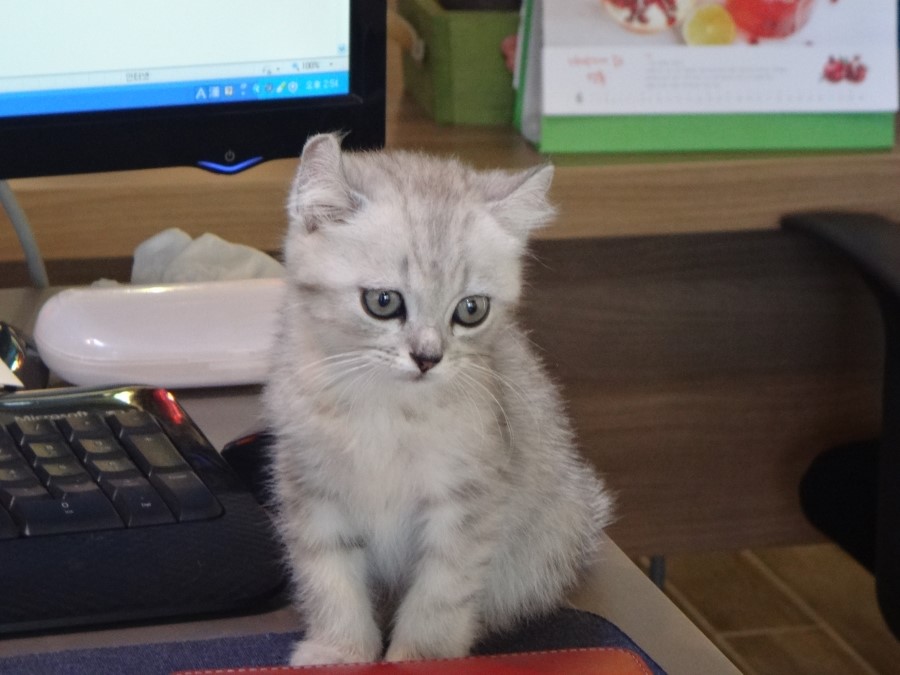 뮤즈데코 이미지