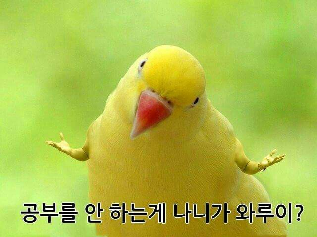 미나상 이미지