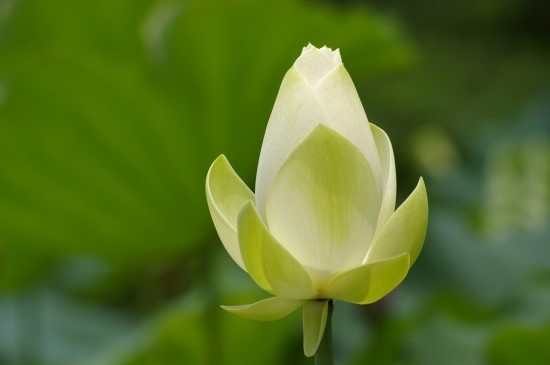 유일계기상사 이미지