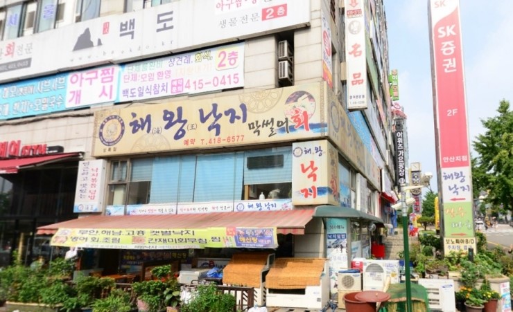 해왕낙지 이미지