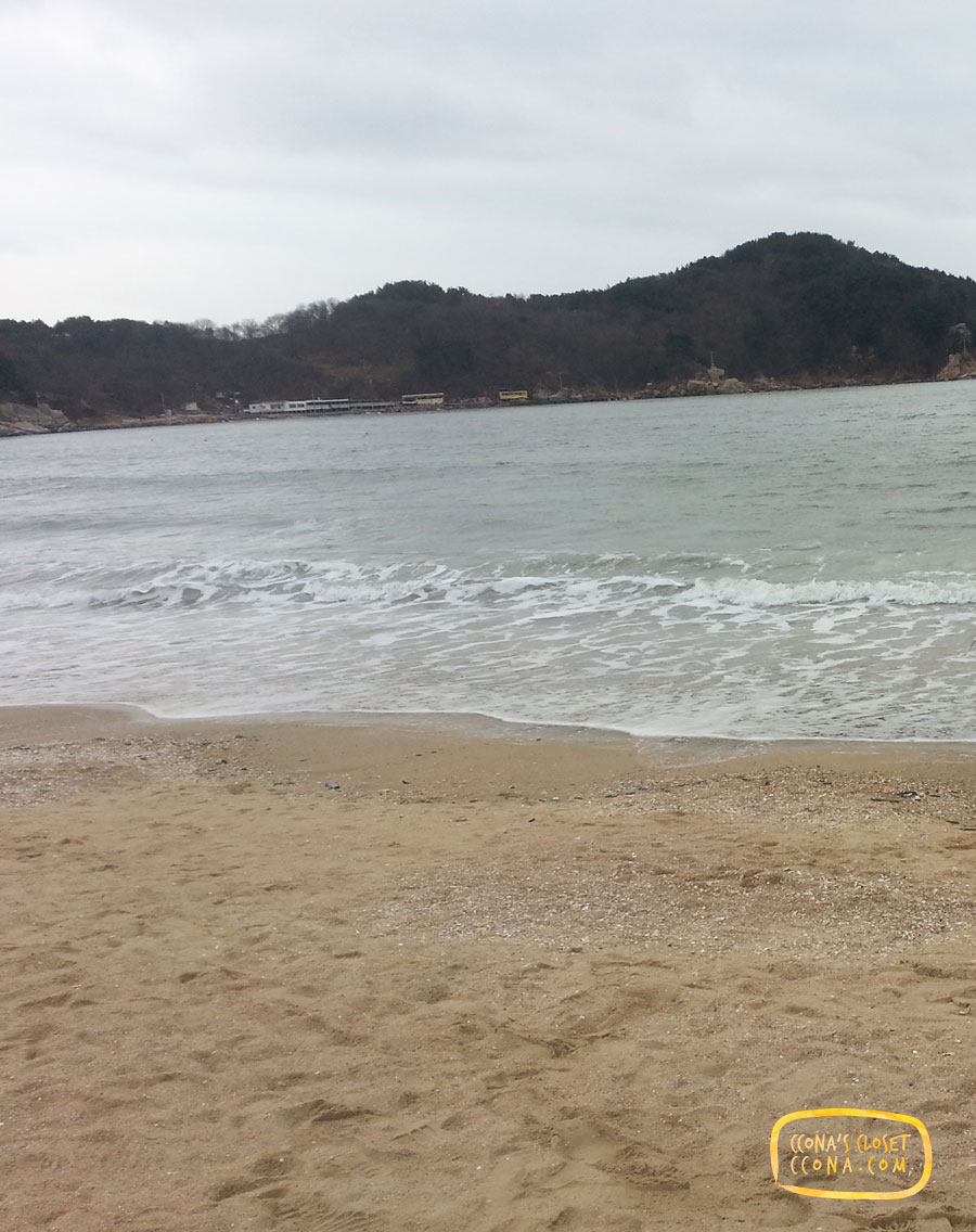 오라회센타 이미지