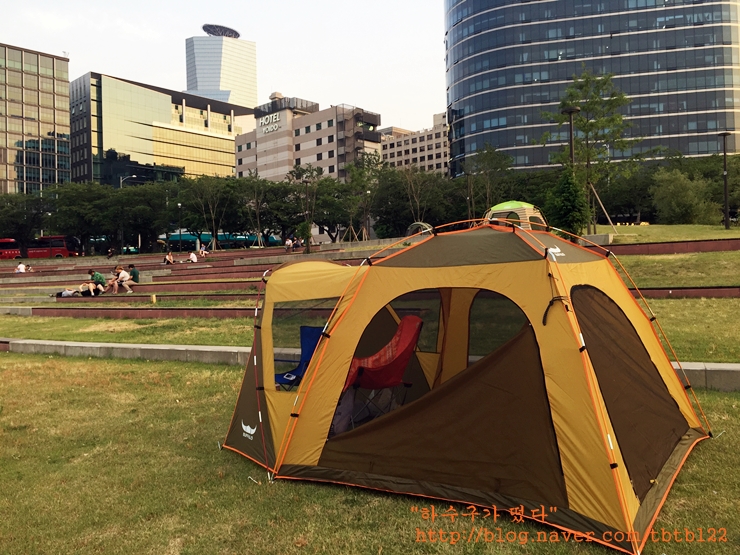 푸른캐노피 이미지