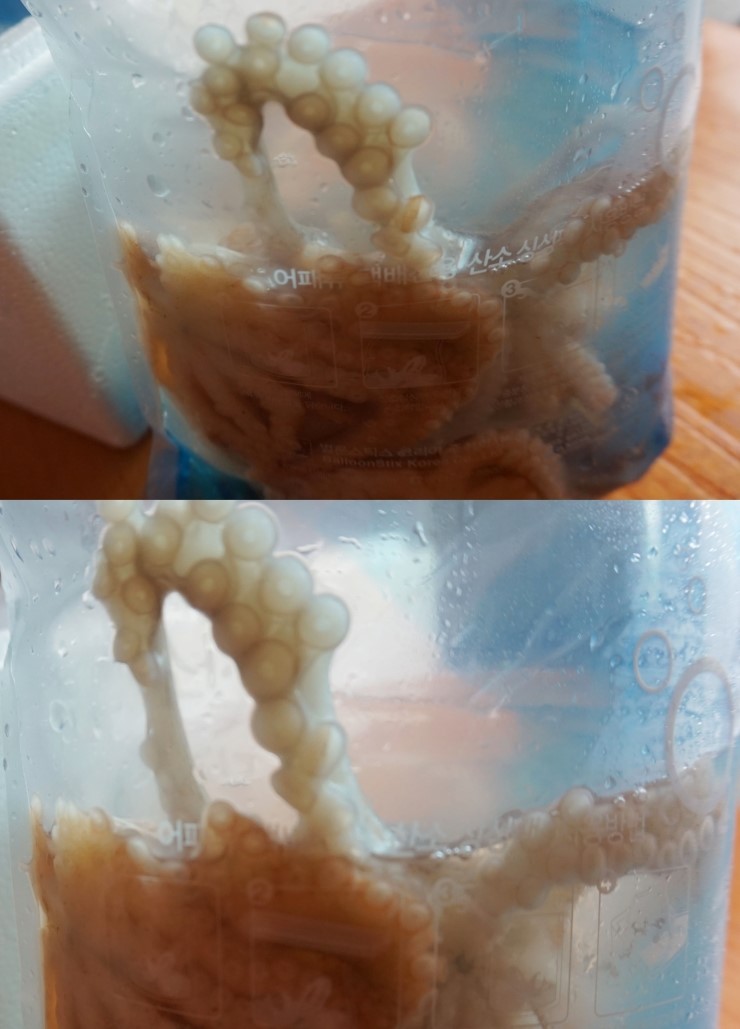 해신조개탕 이미지