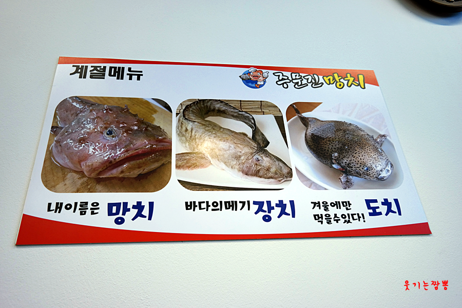 주문진망치 이미지