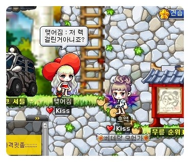 메이플헤어 이미지