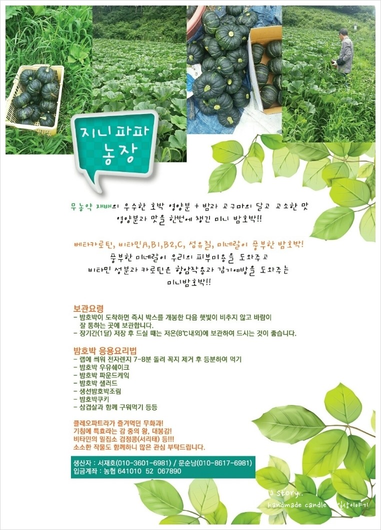 지니파파 이미지