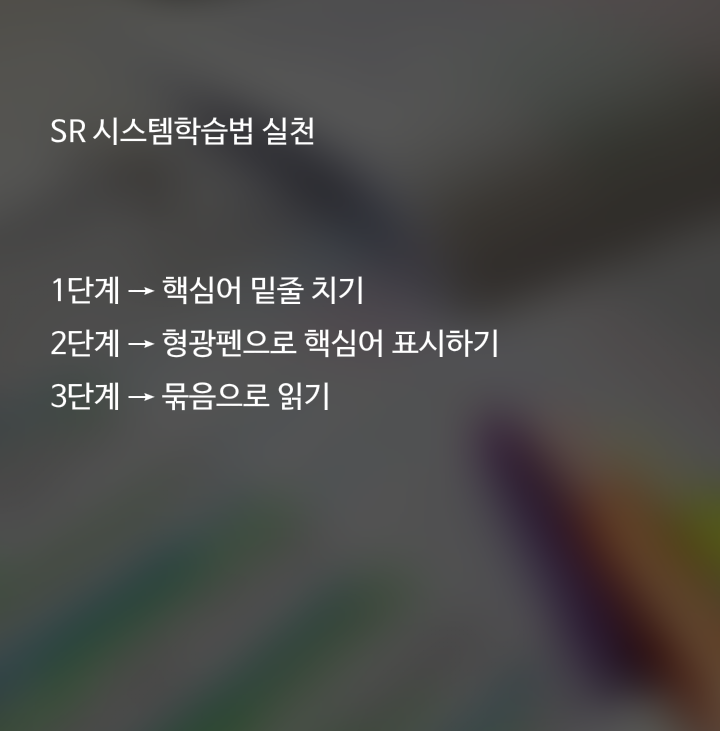 SR시스템 이미지