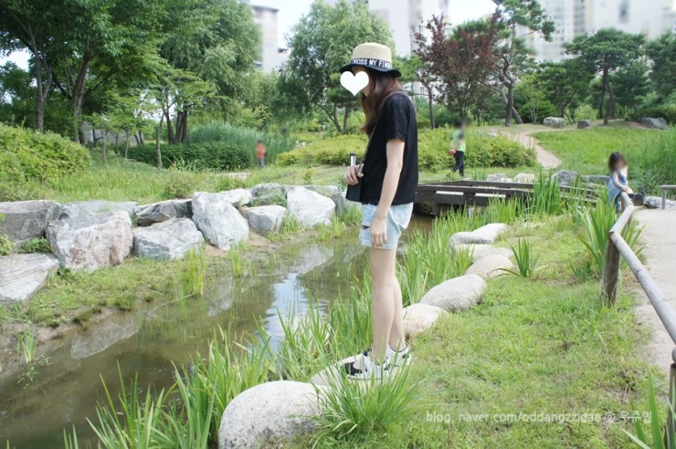 청미보 이미지