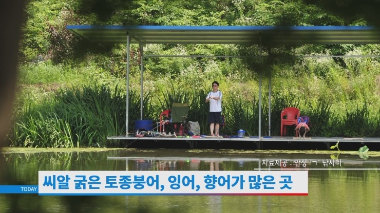개나리낚시터 이미지
