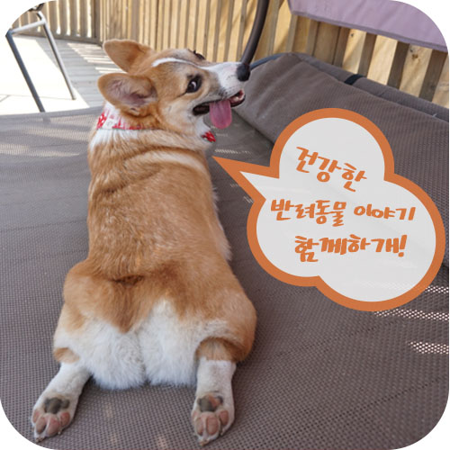 마루네일 이미지