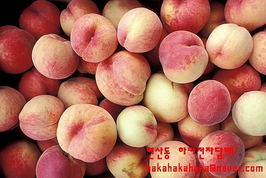 피치랑부산 이미지