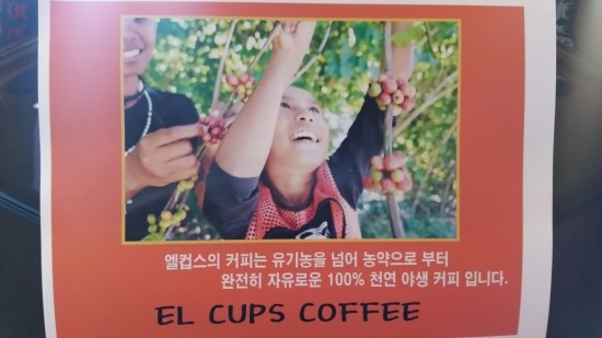 엘컵스 이미지