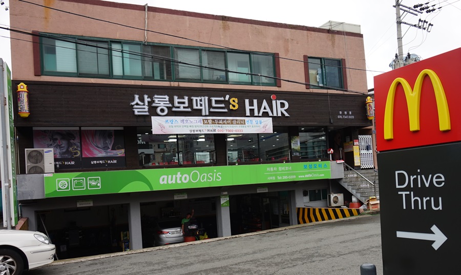 살롱드레오 이미지