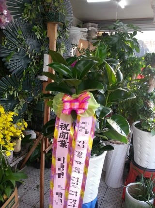디씨문구 이미지
