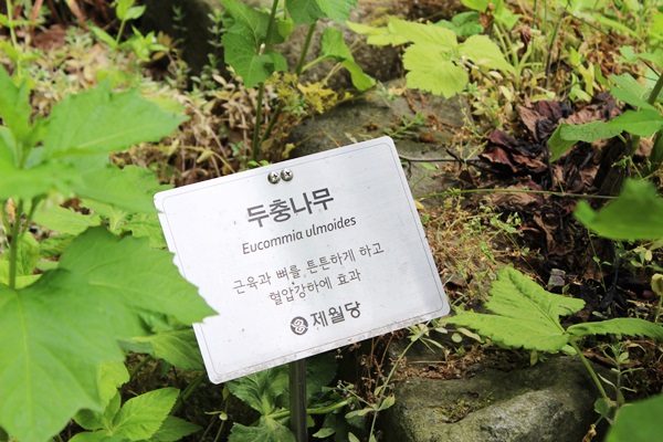 들풀한의원 이미지