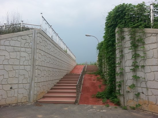 테라하우스 이미지