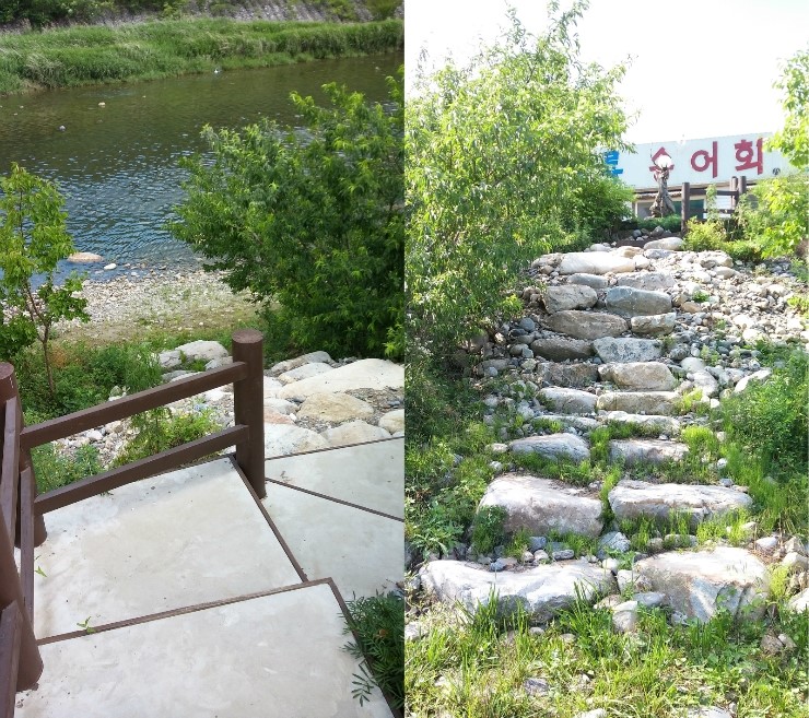 외룡송어회 캠핑장 이미지
