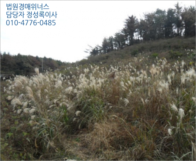서광주역주유소 이미지