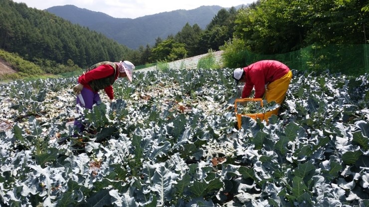행복한농산물 이미지