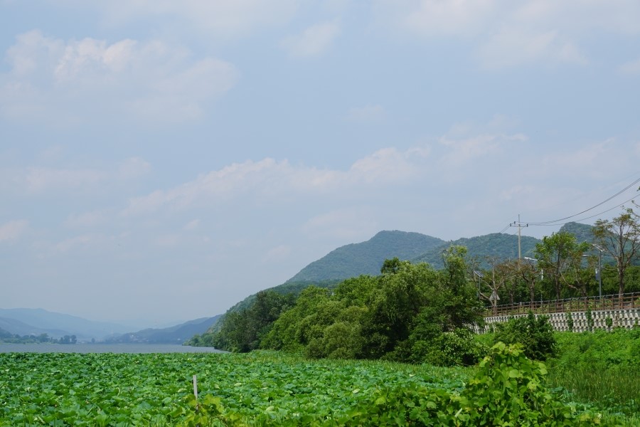 대한엠엔에이 이미지