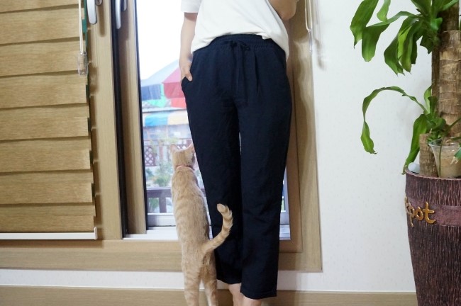 제이클로젯 이미지