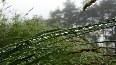 행복마트 이미지