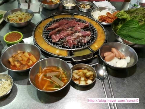 왕마포갈매기 이미지