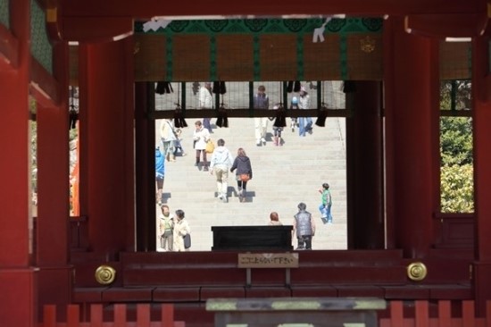 동경사 이미지