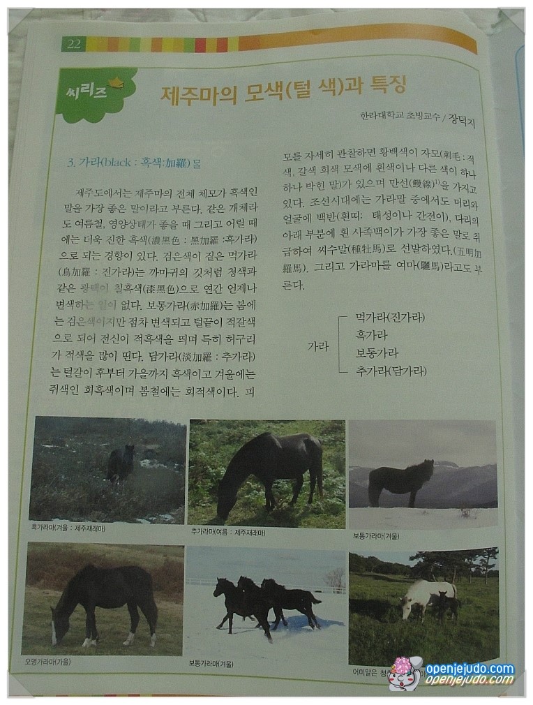 (사)제주어보전회 이미지