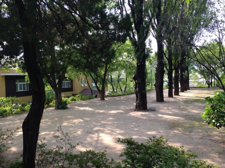 서울베네딕도유치원 이미지