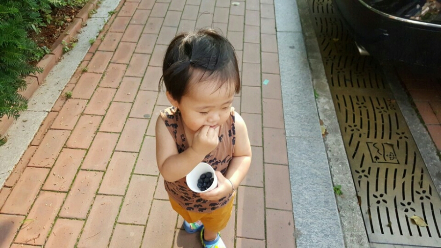 뚜뚜빵빵 이미지