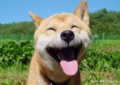 뷰티걸 이미지