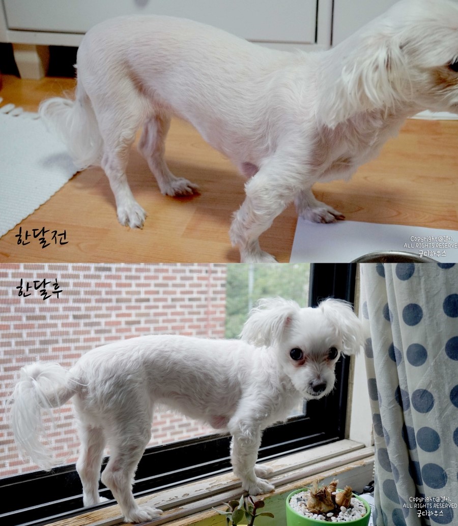 꽃할매놀이터 이미지