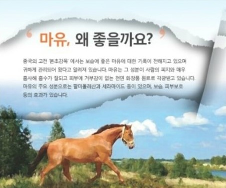 홍익홍삼 이미지