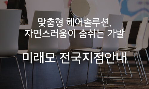 미래모 이미지